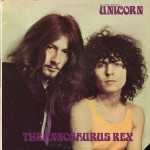 Tyrannosaurus REX / 