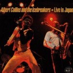 ALBERT COLLINS - 