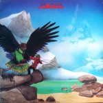 Budgie / 