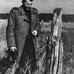 Я убит подо Ржевом