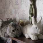 Такая дружба