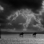 Riders on the Storm