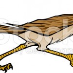 Road Runner